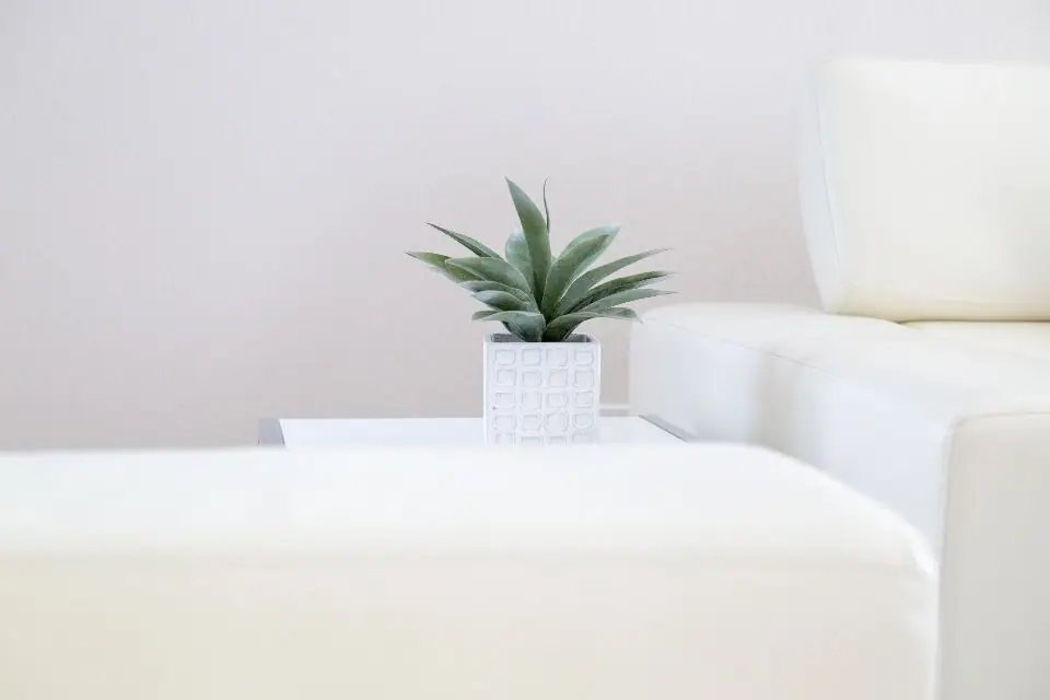 A small plant beside a soft white sofa