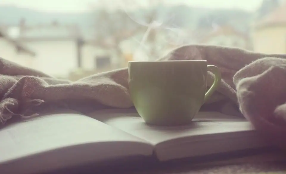 A cup of tea resting on an open book by a window